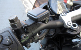 TRIUMPH TRIDENT 660 2021 LGL10U