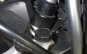 BMW R1250RS 2021