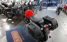 MOTO GUZZI V7 STONE 2019 ZGULW