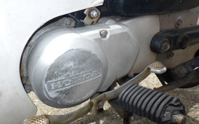 HONDA C50 SUPER CUB C50