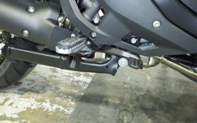 BMW R1300GS 2024