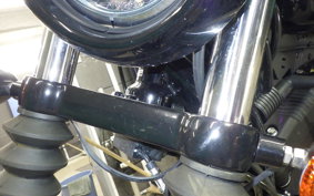 HARLEY XL1200NS 2019
