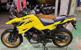 SUZUKI DL1050 (V-Strom 1050) 2020 EF11M