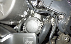 APRILIA TUONO 1000 2006