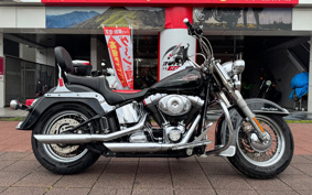 HARLEY FLSTC 2006 BJY