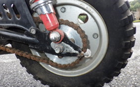 OTHER +UNREGISTERED MODEL by BDS125