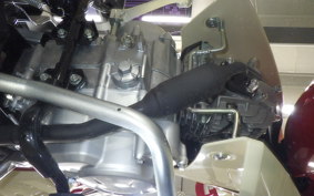 HONDA C50 SUPER CUB 2025 AA09