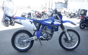 YAMAHA WR250F CG16