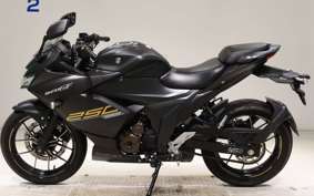 SUZUKI GIXXER 250 SF 2006 ED22B