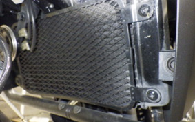 SUZUKI Vｽﾄﾛｰﾑ250A 2022