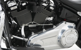 HARLEY FLFBS 2018 YGK
