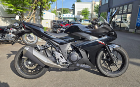 SUZUKI GSX250 R DN11A
