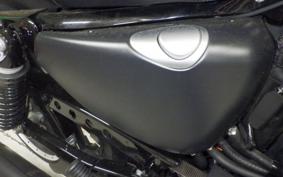 HARLEY XL883N 2021
