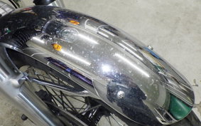 KAWASAKI W800 2018 EJ800A