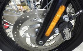 HARLEY FXBB1750 2019