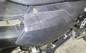 KAWASAKI KLX250 Gen.2 2025 LX250S