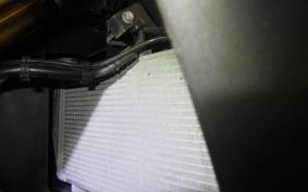 YAMAHA YZF-R3 2019 RH13J