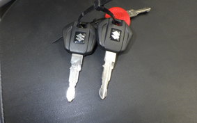 SUZUKI Vｽﾄﾛｰﾑ250SX 2012 EL11L