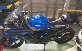 KAWASAKI NINJA 250 EX250L