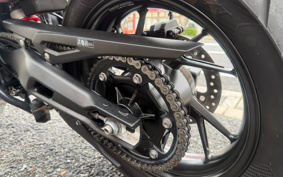 TRIUMPH TIGER 900GT PRO 2024 TRC82D