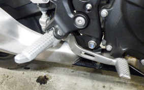 KAWASAKI NINJA 250 2019