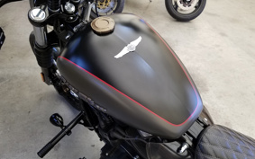 HARLEY FXBB 2019 YJJ