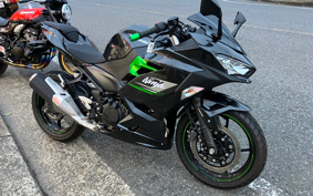 KAWASAKI NINJA 250 EX250Y