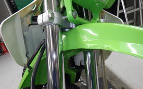 KAWASAKI KDX125 SR DX125A