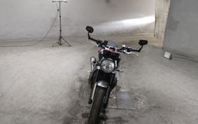 TRIUMPH SPEED TWIN 2023 DAD85H