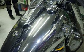 HARLEY FLSTFI1920 2025