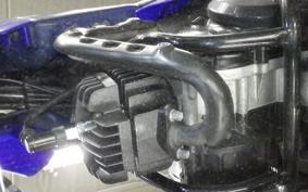 YAMAHA PW50 1999 3PT