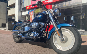 HARLEY FLSTF 100th 2002 BMY