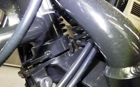 OTHER +UNREGISTERED MODEL by BDS250