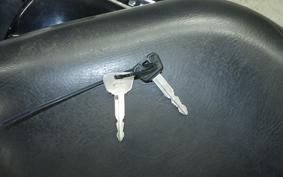 YAMAHA DRAGSTAR 250 VG02J