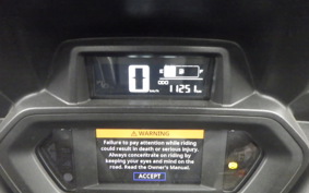 YAMAHA X-MAX 250 2024 SG70J