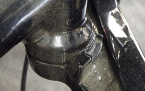 HARLEY XL883N