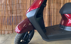 HONDA MANY CTOR AF79