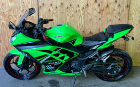 KAWASAKI NINJA 250 ABS SE EX250L