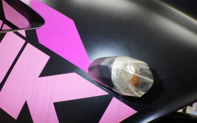 SUZUKI ｼﾞｸｻｰ250SF