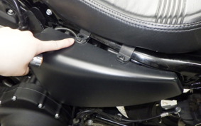 HARLEY XL883N 2020