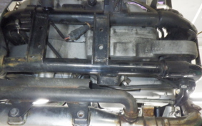 OTHER +HD. XL883C 2005