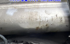 KAWASAKI KLX250 ES Type