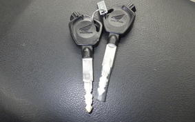 HONDA ZOOMER-X 2005 JF52