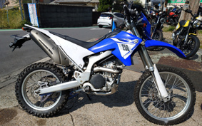 YAMAHA WR250R DG15J
