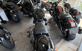 HARLEY FXST1340-1450 2020 BVJ