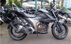 SUZUKI JIKUSA-250 ED22B