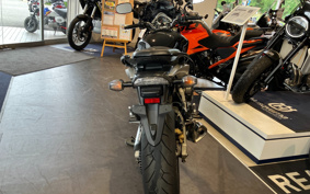 HONDA CB600F HORNET  2009 PC41