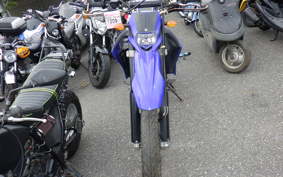 YAMAHA WR250X DG15J