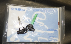 YAMAHA AXIS 125 TREET SE53J