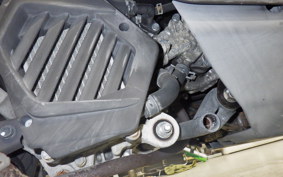 HONDA TACT Basket 2024 AF79